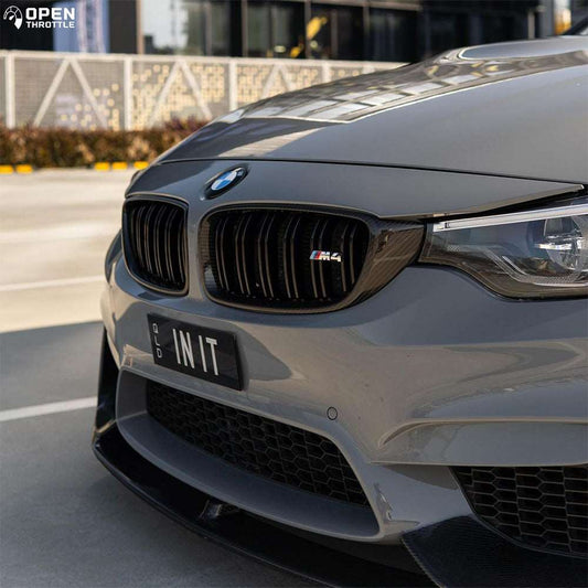 BMW F8X Carbon Fiber Kidney Grilles