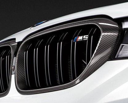 BMW F90 Carbon Fiber Kidney Grilles